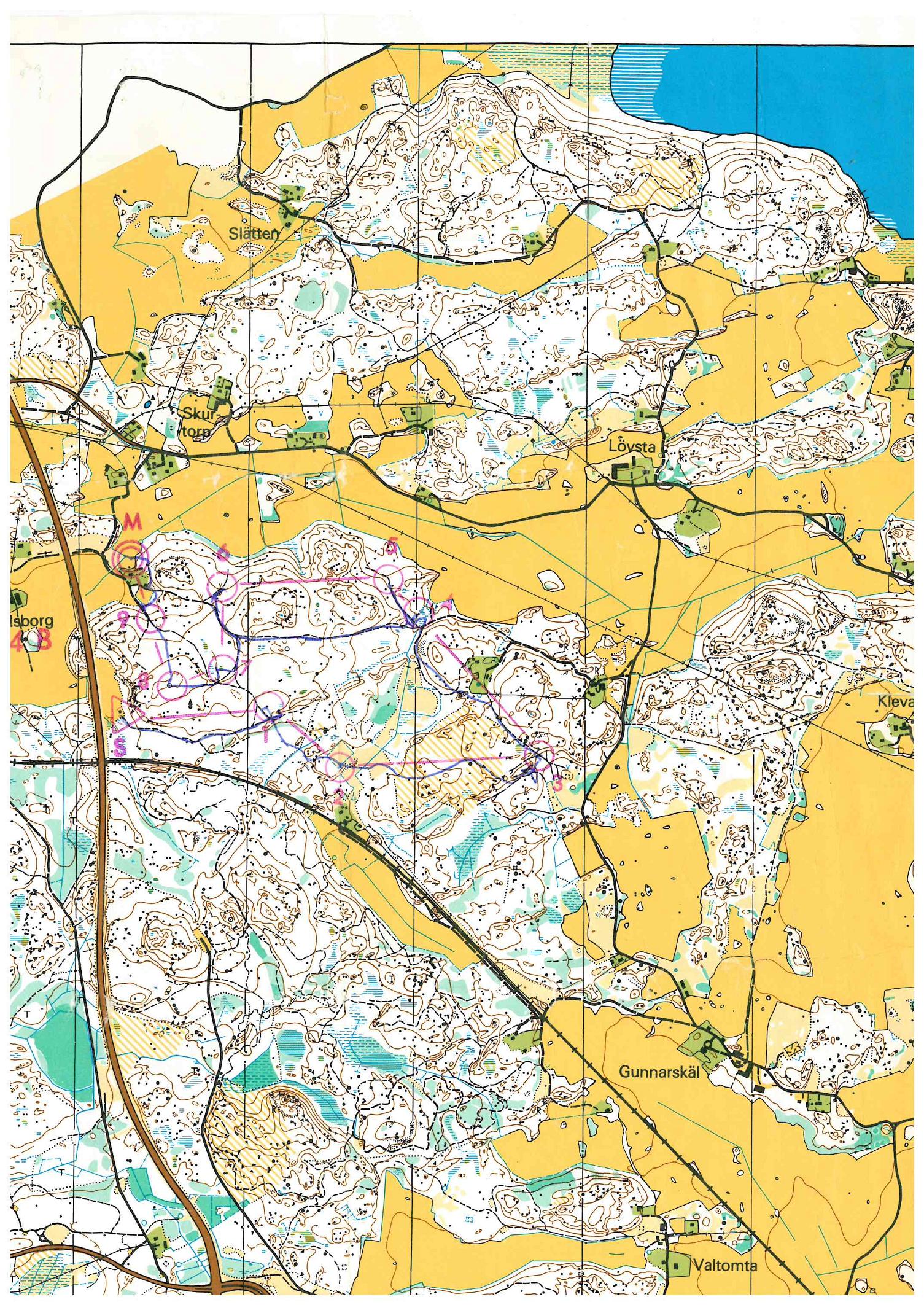 Tors ungdomstävling (16.04.1983)