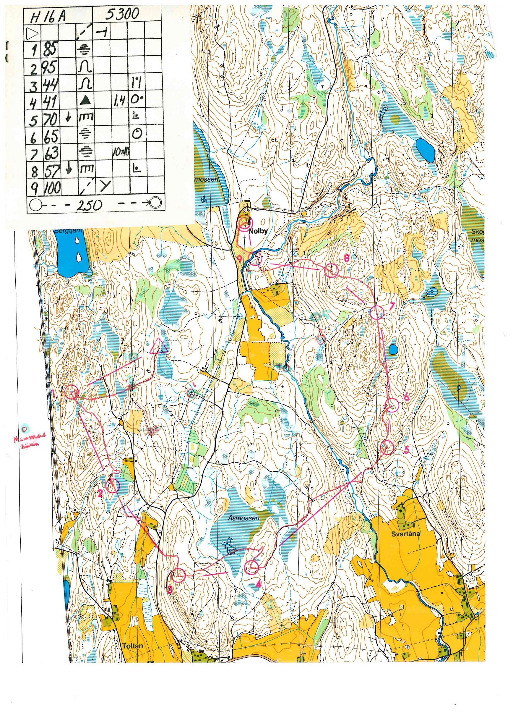 Näverlunken (26.08.1984)