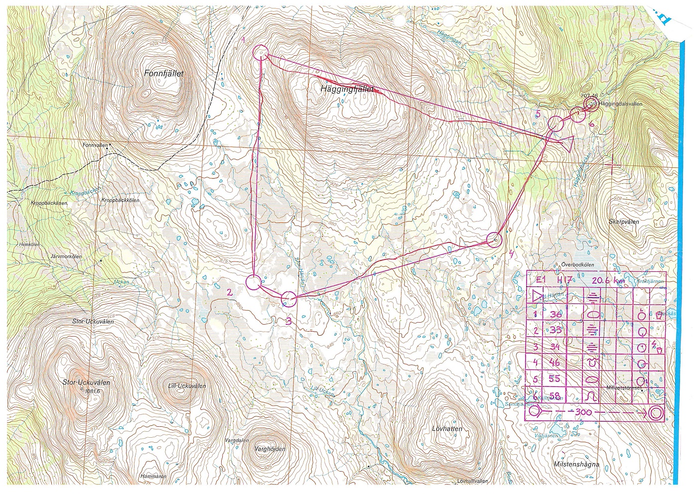 Fjäll OL  (10-07-1989)