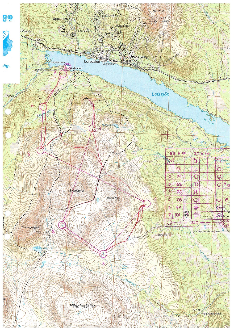 Fjäll OL  (12.07.1989)