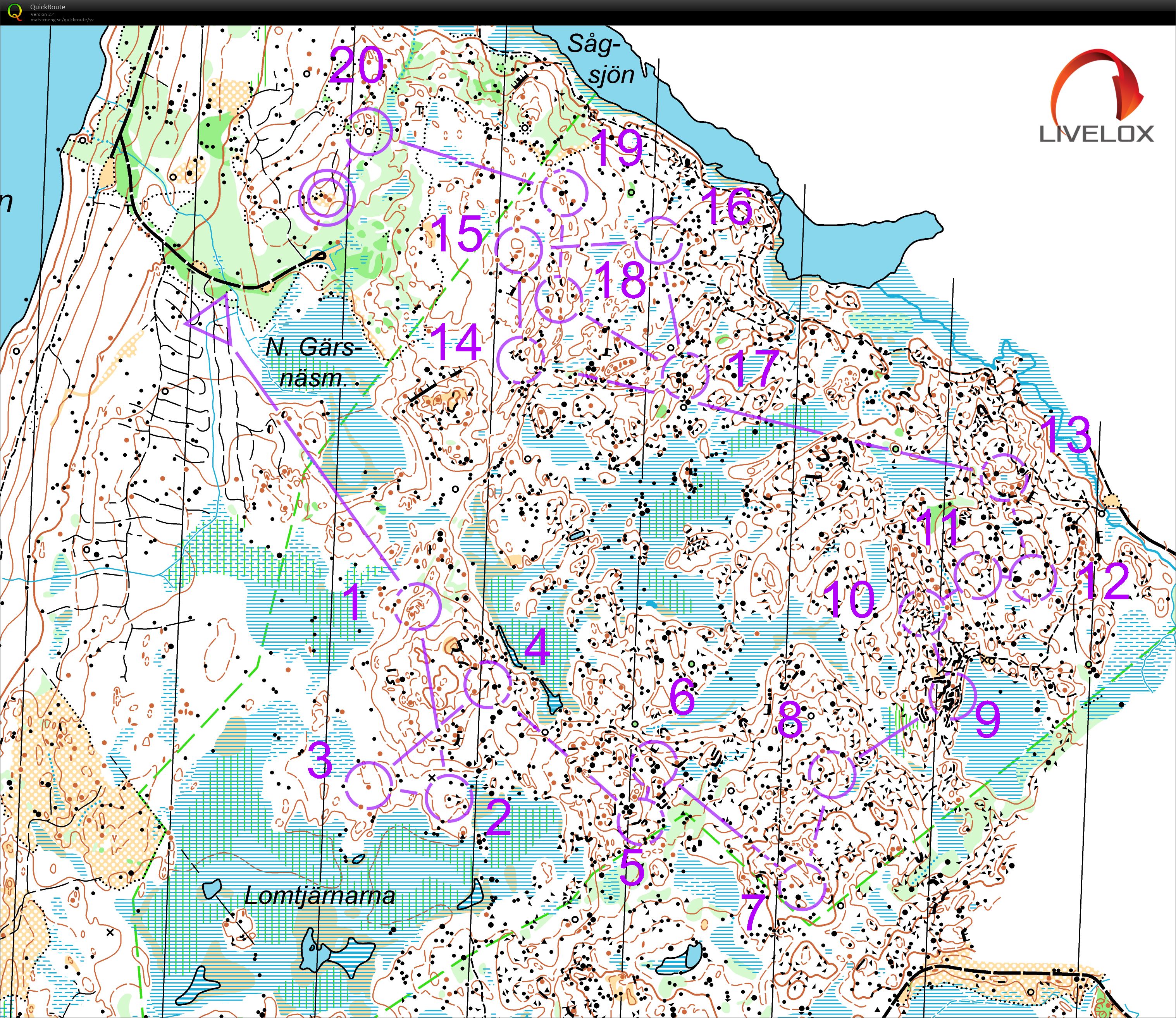 Fasaloppet (05/06/2021)