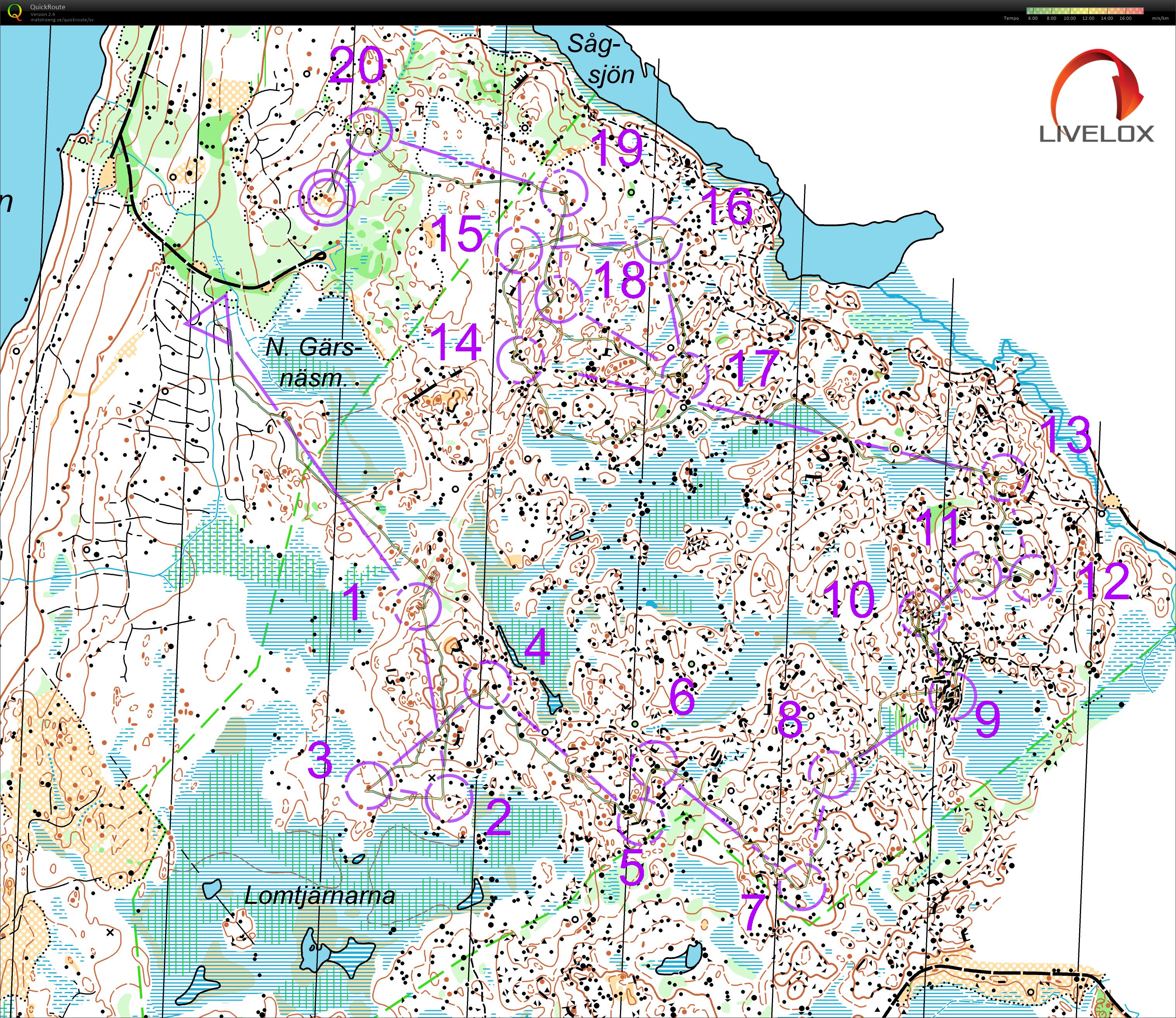 Fasaloppet (05/06/2021)