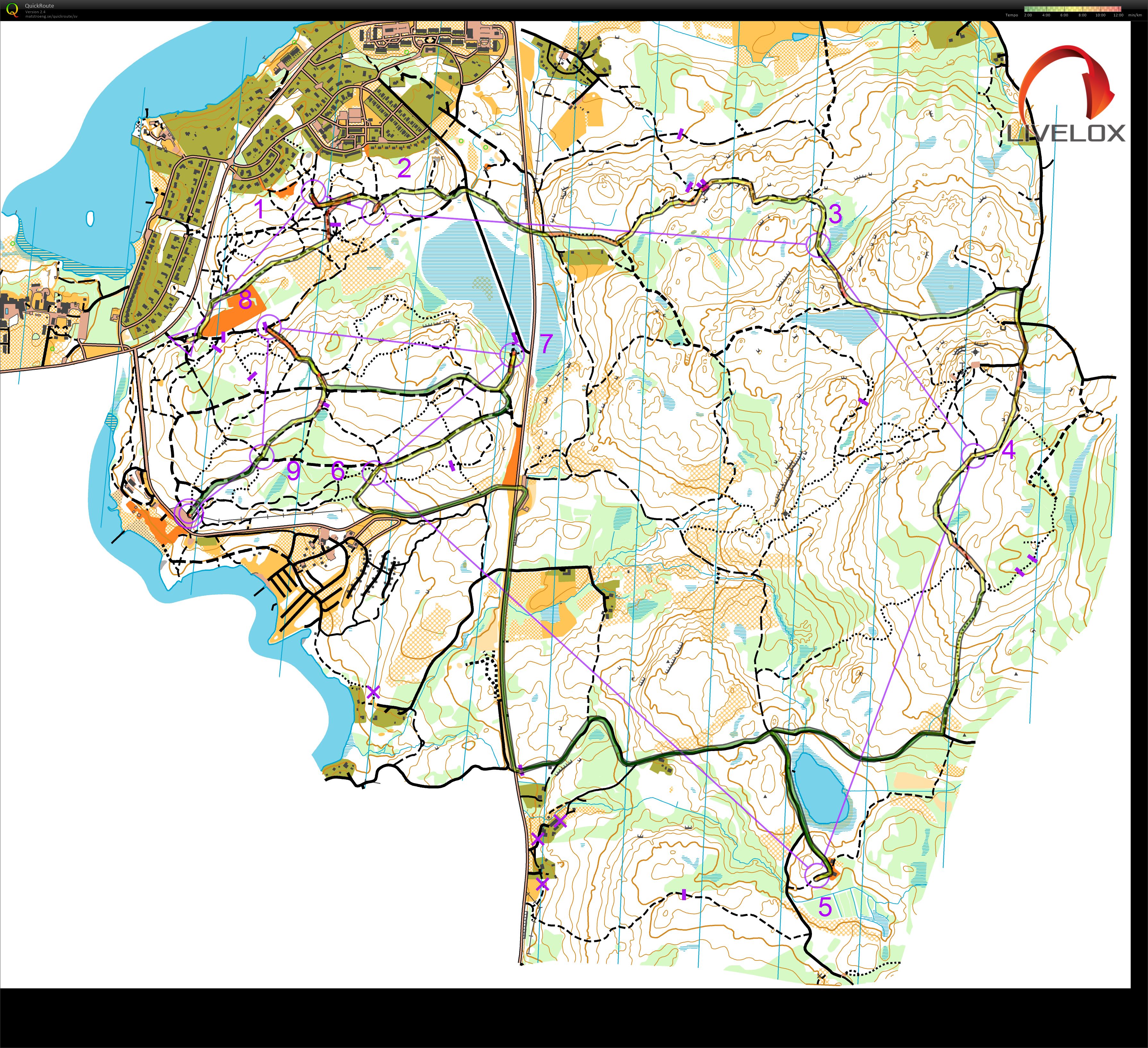 Värmlandsserien MTBO (2021-08-16)